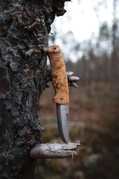 Blega folding knife Helle knives - Blacksmith Source Tool Company