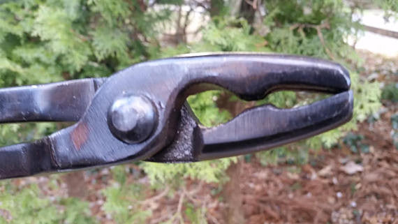 Wolf Jaw 2.5" Forge Tongs - Blacksmith Source Tool Company